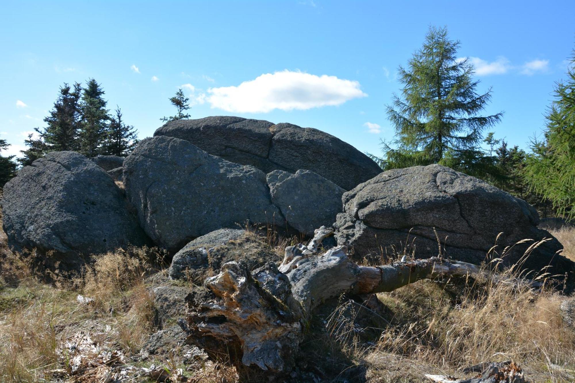 Waldgasthof Bad Einsiedel Seiffen Exterior foto