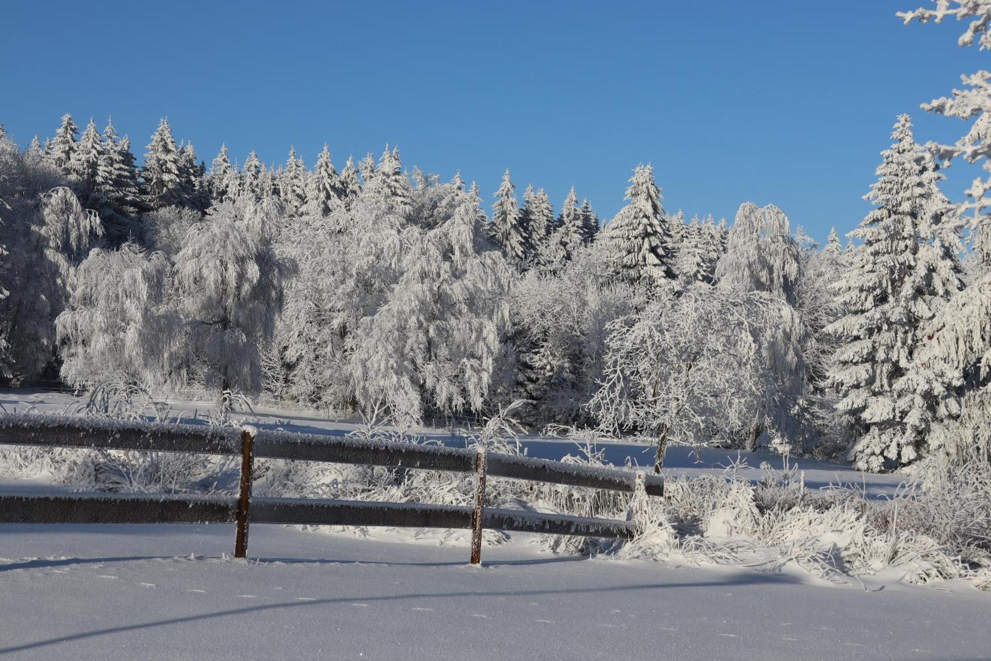 Waldgasthof Bad Einsiedel Seiffen Exterior foto